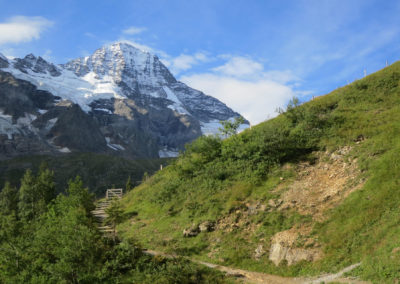Trail on the way to Obersteinberg